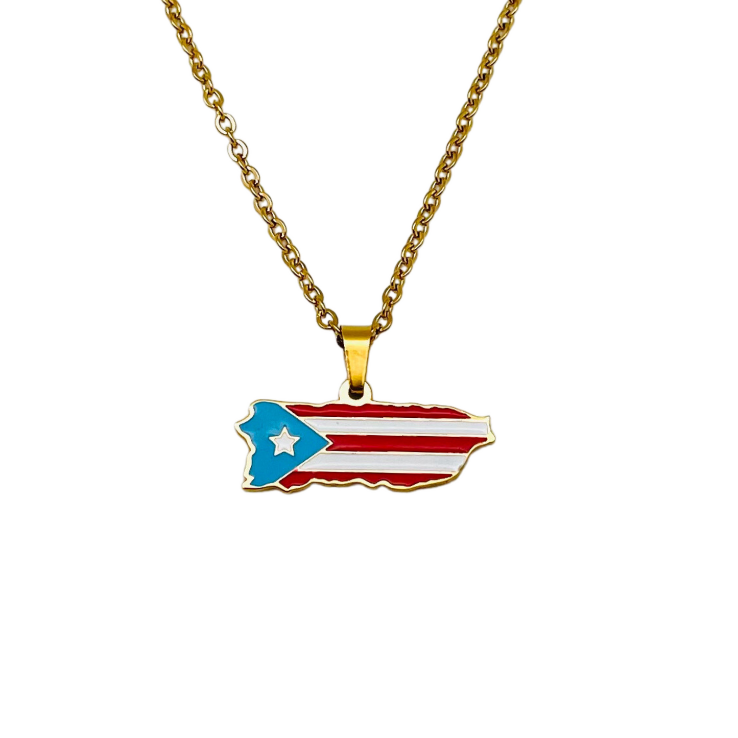 Multi Gold PR Map Necklace