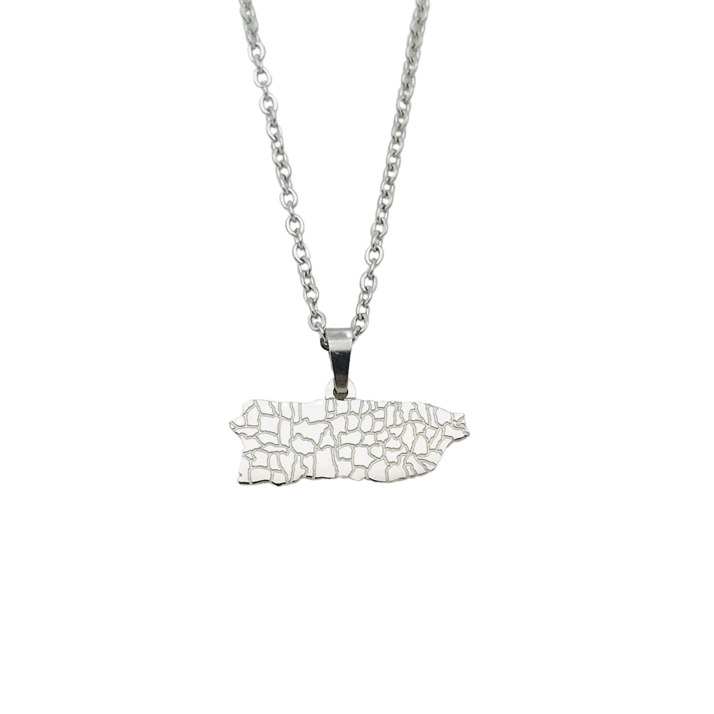 Silver "Pueblos" PR Map Necklace