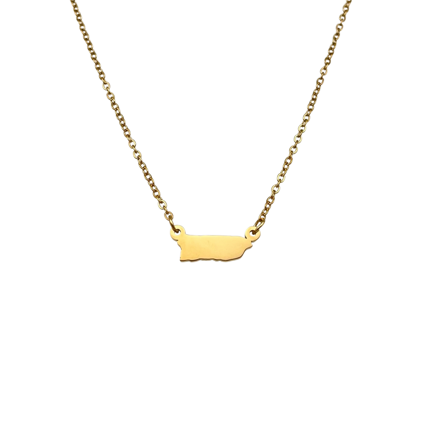 Gold Dainty PR Map Necklace