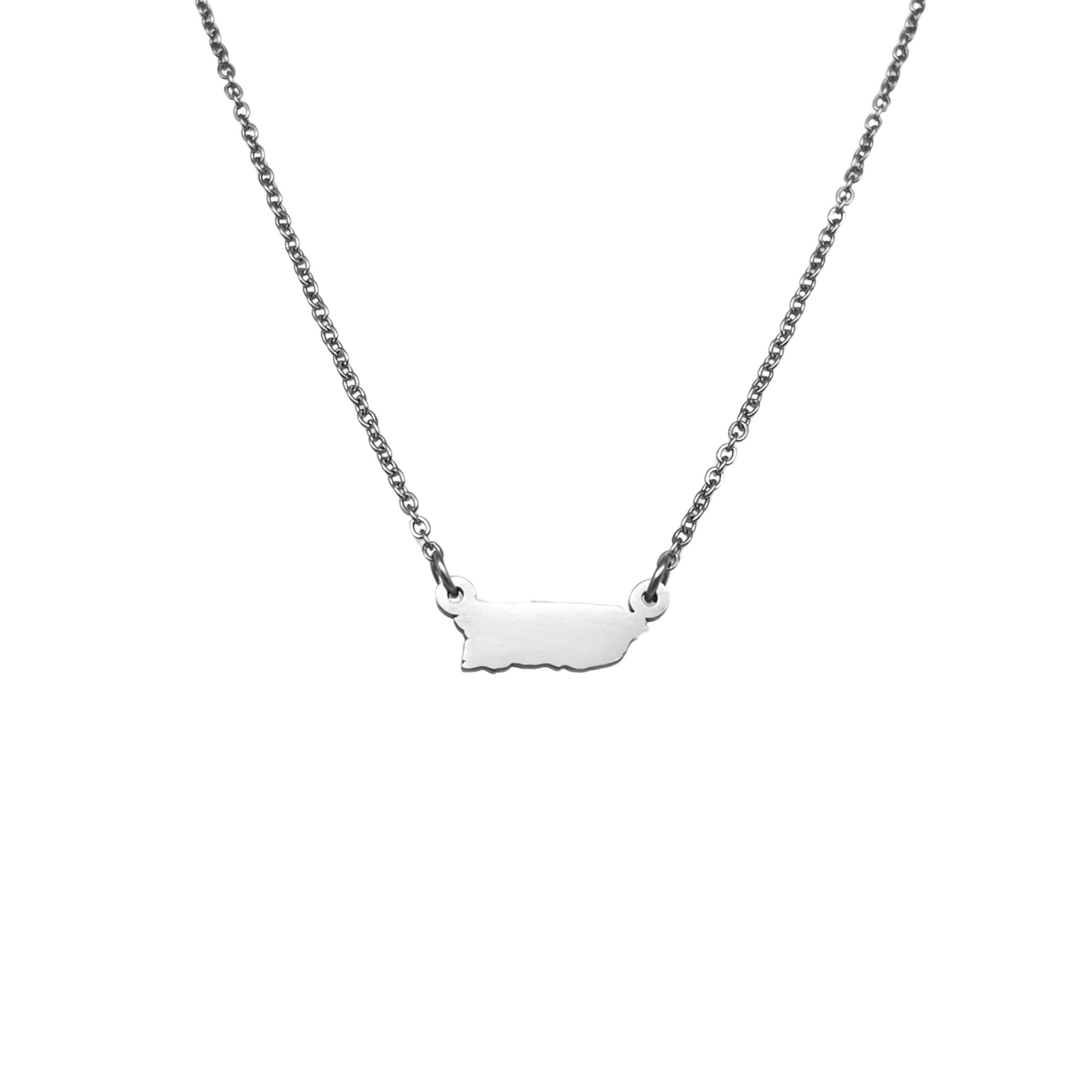 Silver Dainty PR Map Necklace