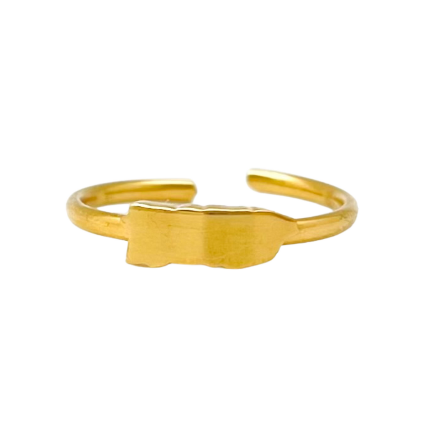 Gold PR Map Adjustable Ring